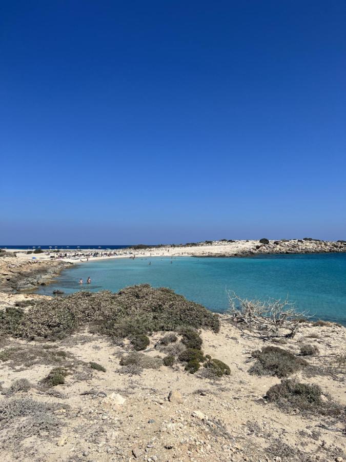 Villa Hellas Afiartis Exteriér fotografie